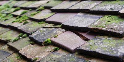 Enstone roof repair costs